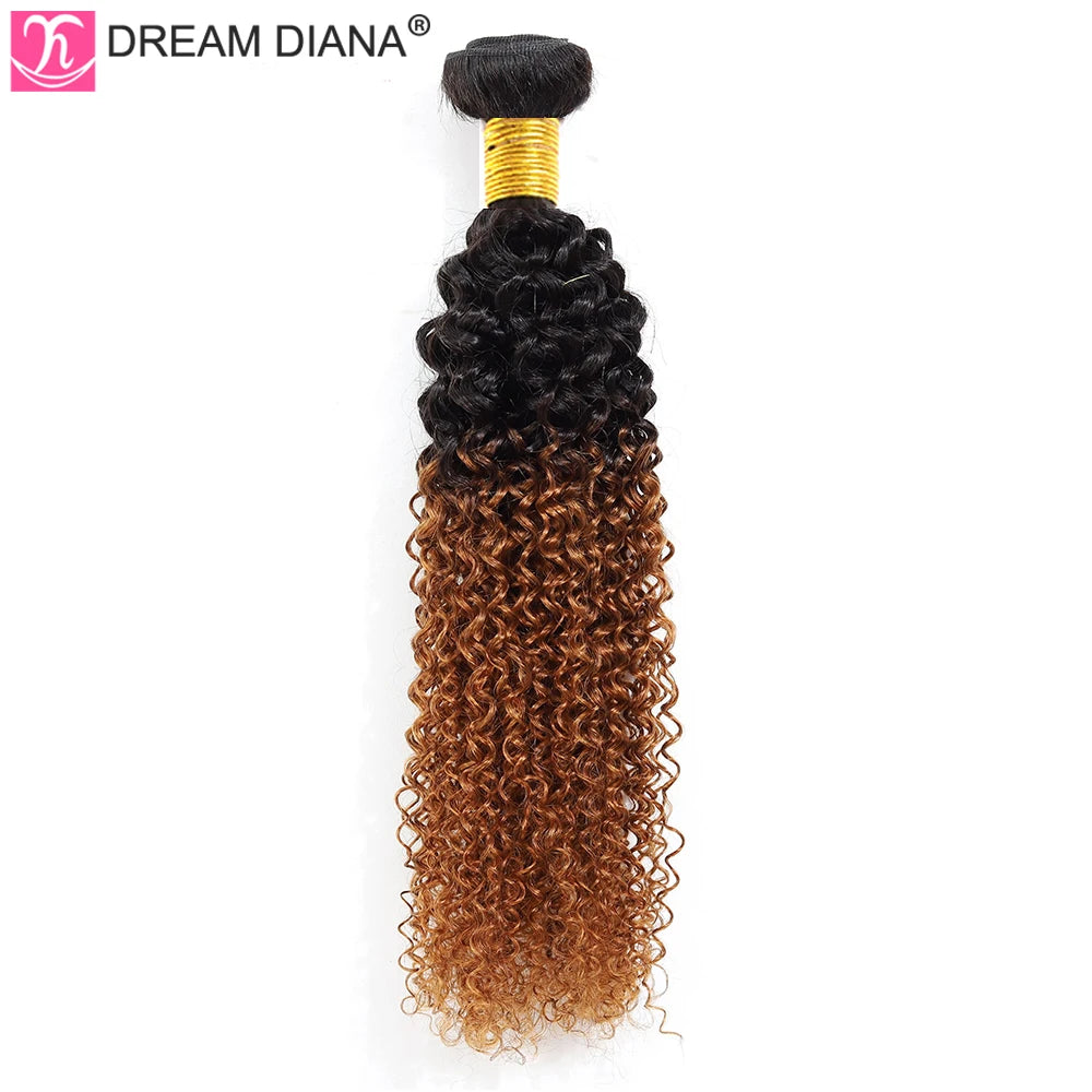 DreamDiana 10A Ombre Malaysian Hair T1B/30 10"-26" Remy Ombre Kinky Curly Hair 1/3/4 Bundles 100% Ombre Brown Human Hair Bundles