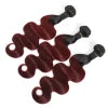 Wholesale High Grade T1B/99J Color 100% Remy Brazilian Virgin Human Hair Bundles Weave Body Wave Extensions
