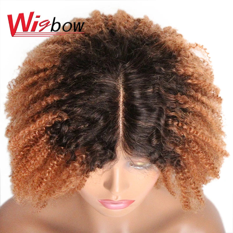 Ombre Human Hair 4x4 Closure Wig For Women Brazilian Hair Short Human Curly Wigs Mid Part Lace Wigs With Pre-Plucked T1B/27/30