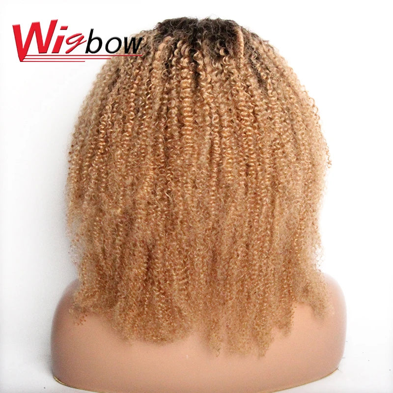 Ombre Human Hair 4x4 Closure Wig For Women Brazilian Hair Short Human Curly Wigs Mid Part Lace Wigs With Pre-Plucked T1B/27/30
