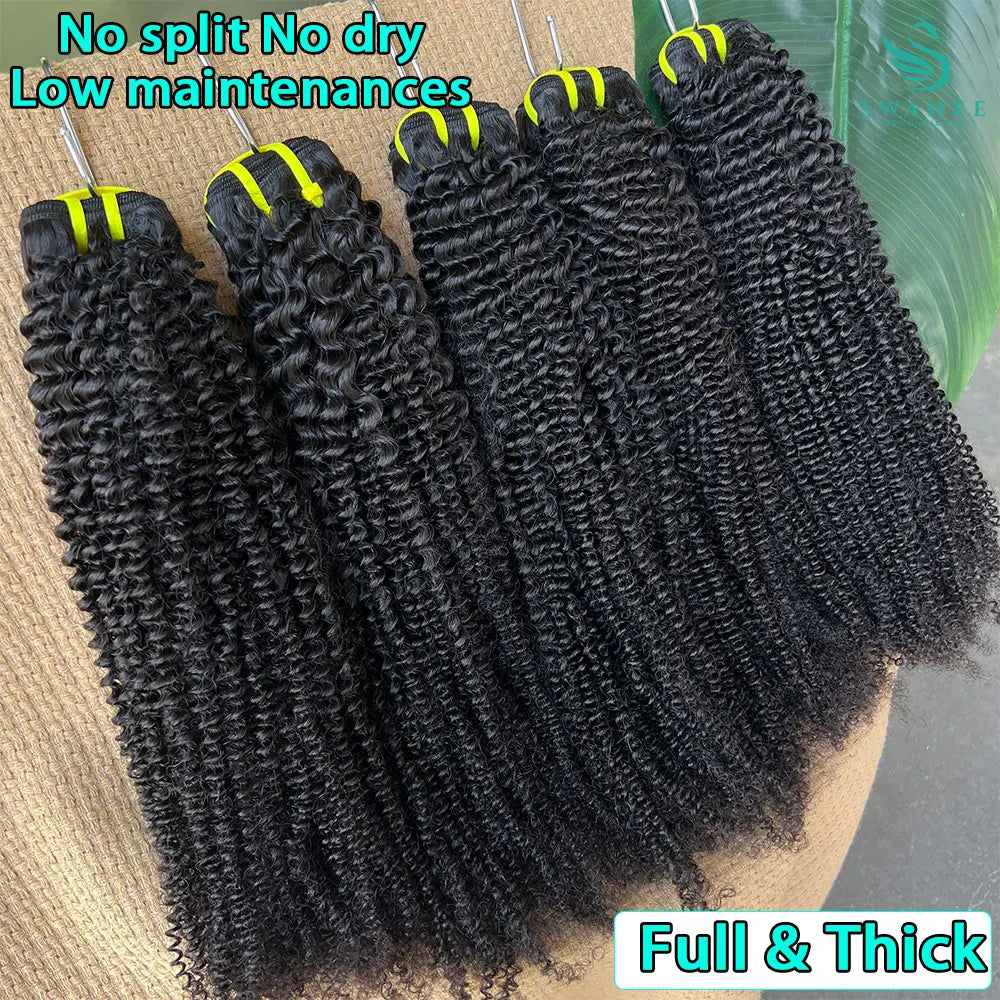 SWANEE Kinky Curly Human Hair Bundle 100% Natural Black Color Double Weft Vietnamese for Curly Bundles Human Hair Extensions