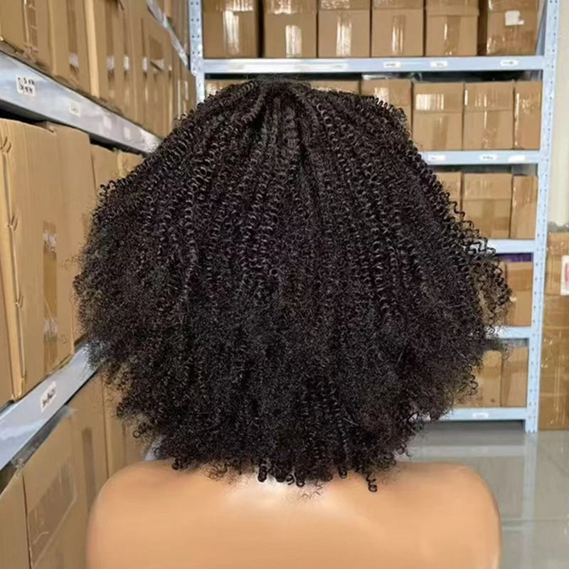 250% Density Afro Kinky Curly Short Curly Wigs 13x4 Lace Front 100% Human Hair For Black Women Brazilian Remy Hair Natural Color