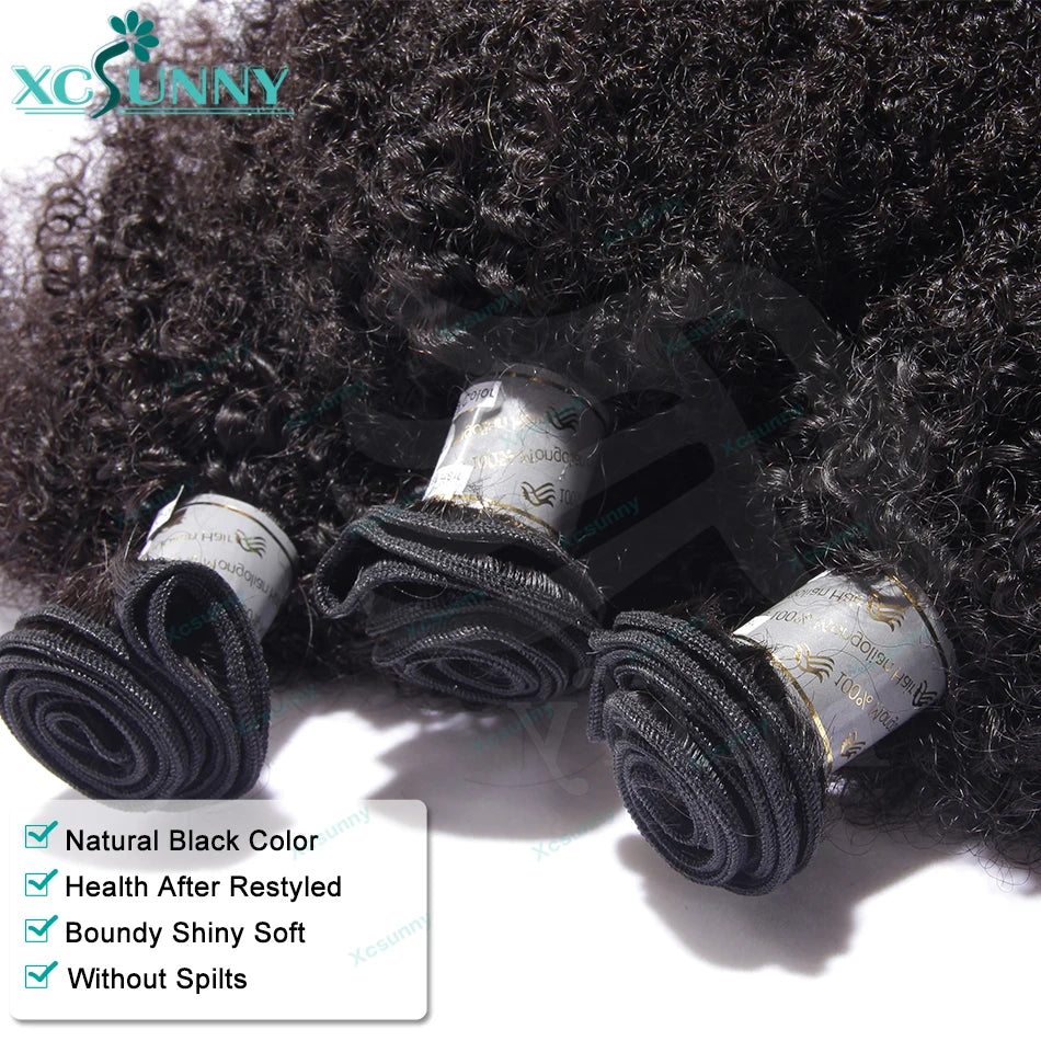 Afro Kinky Curly Human Hair Bundles Double Drawn Burmese Kinky Curly Weaves Human Hair Weft Hair Extensions For Black Women