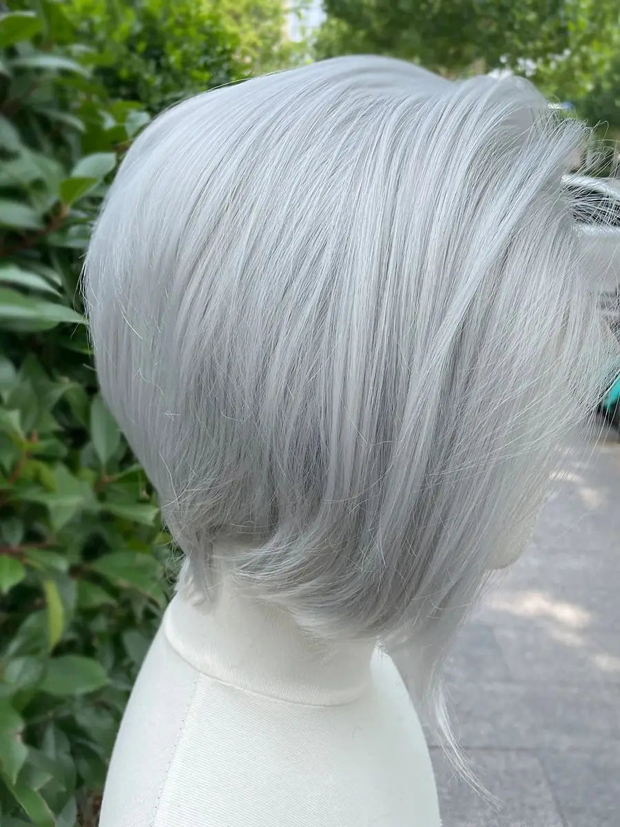 Sliver Gray Short Bob Cut Synthetic Lace Front Wigs for Women Cosplay Wigs for Men Light Grey Glueless 13x4 Lace Front Wigs