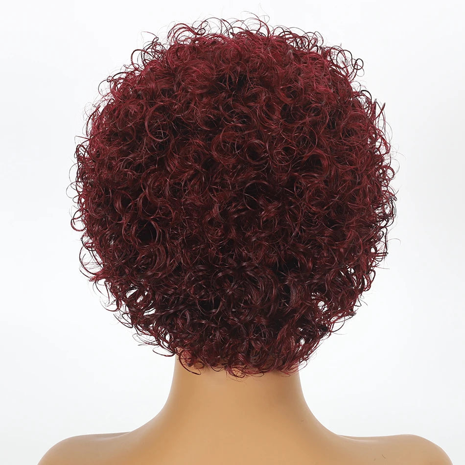 Pixie Cut Wig Kinky Curly Human Hair Wig Honey Blonde Burgundy Colored Short Curly Bob Wigs Pre plucked 13x1 Lace Frontal Wigs