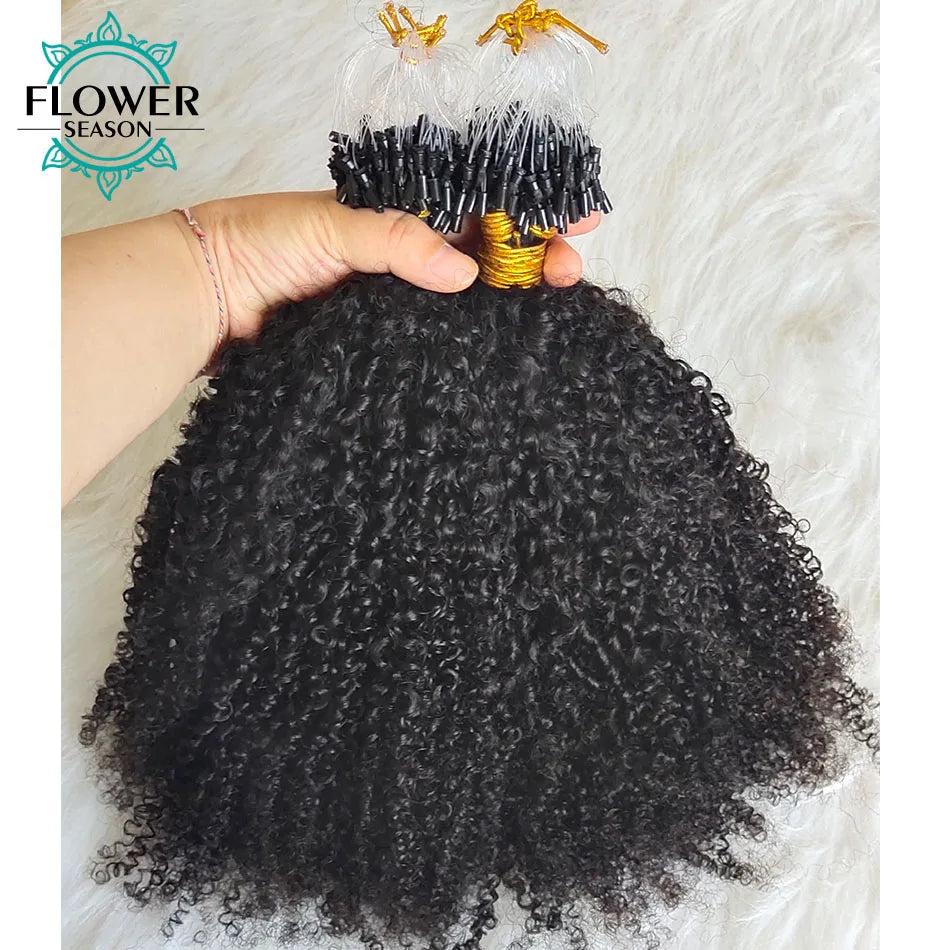 Micro Loop Ring Hair Extensions Afro Kinky Curly Human Hair Micro Ring Hair Full End 100strands/lot Natural Color for Women