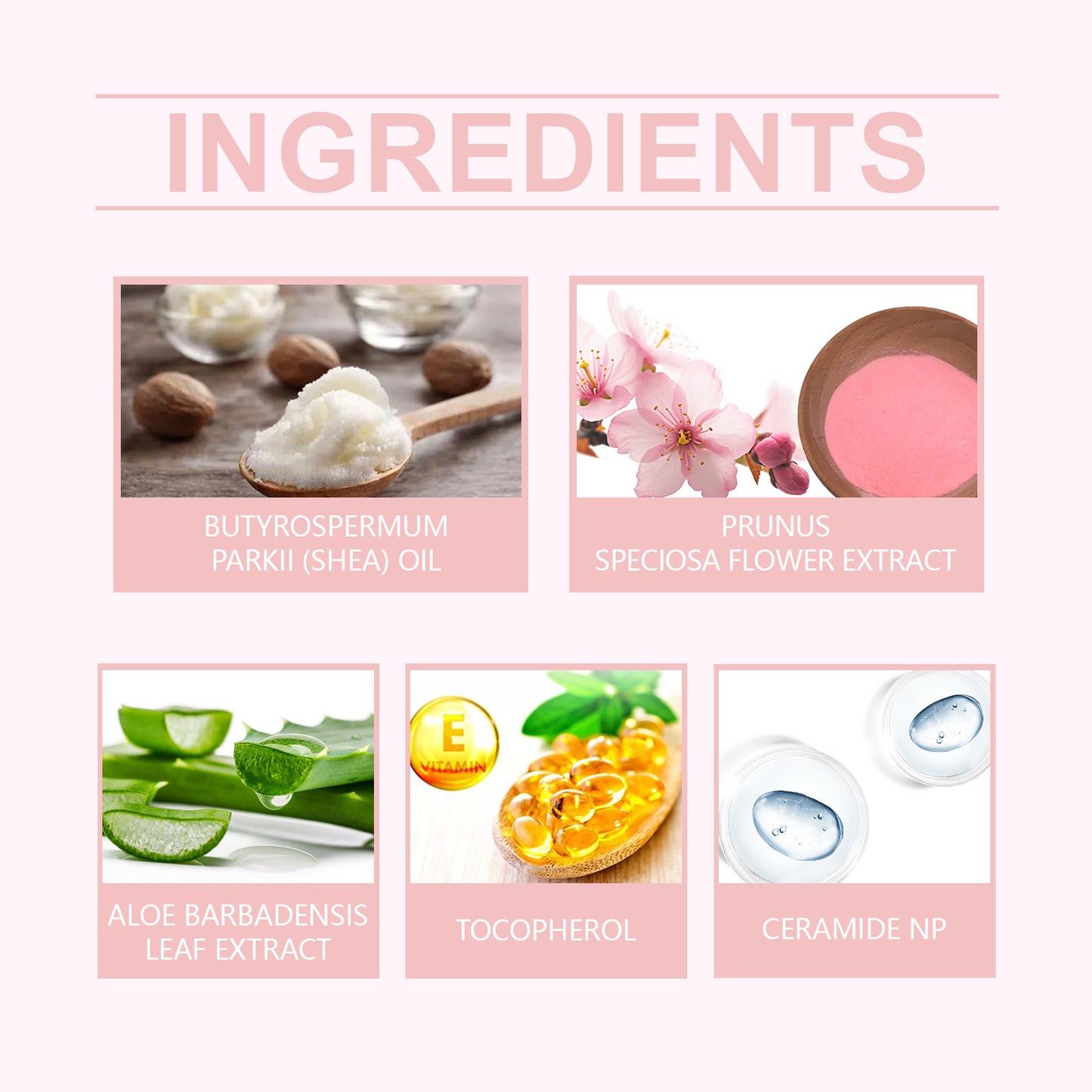 Moisturizing Moisturizing Cream For Delicate And Smooth Skin