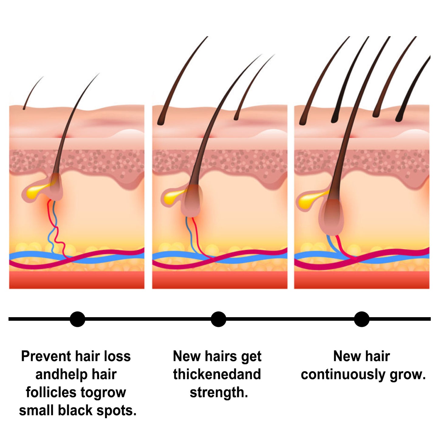 Hair Strengthening And Anti Hair Loss Hair Care Essential Oil