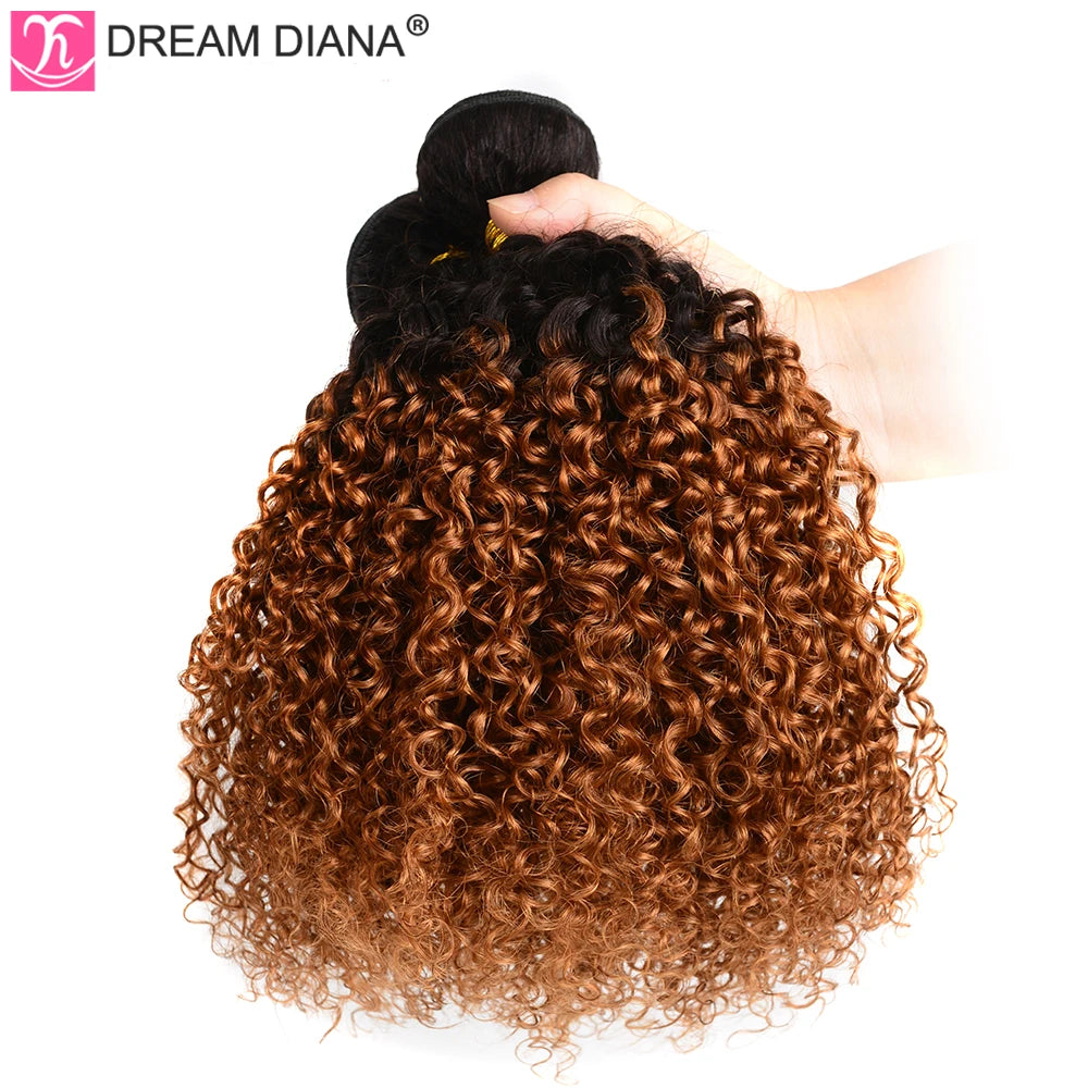DreamDiana 10A Ombre Malaysian Hair T1B/30 10"-26" Remy Ombre Kinky Curly Hair 1/3/4 Bundles 100% Ombre Brown Human Hair Bundles