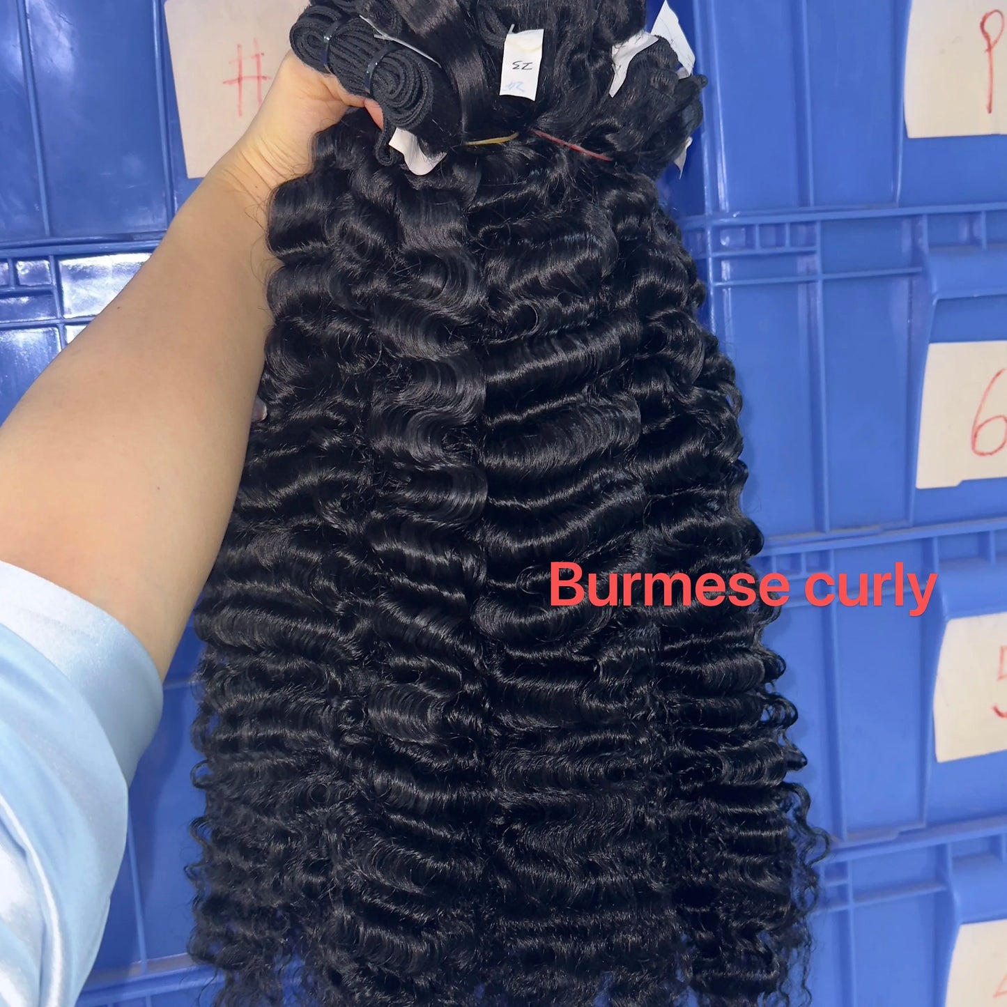 Wholesale 100% Human Hair Bundles Wigs Bodywave Curly Lace Front Wig Vendors