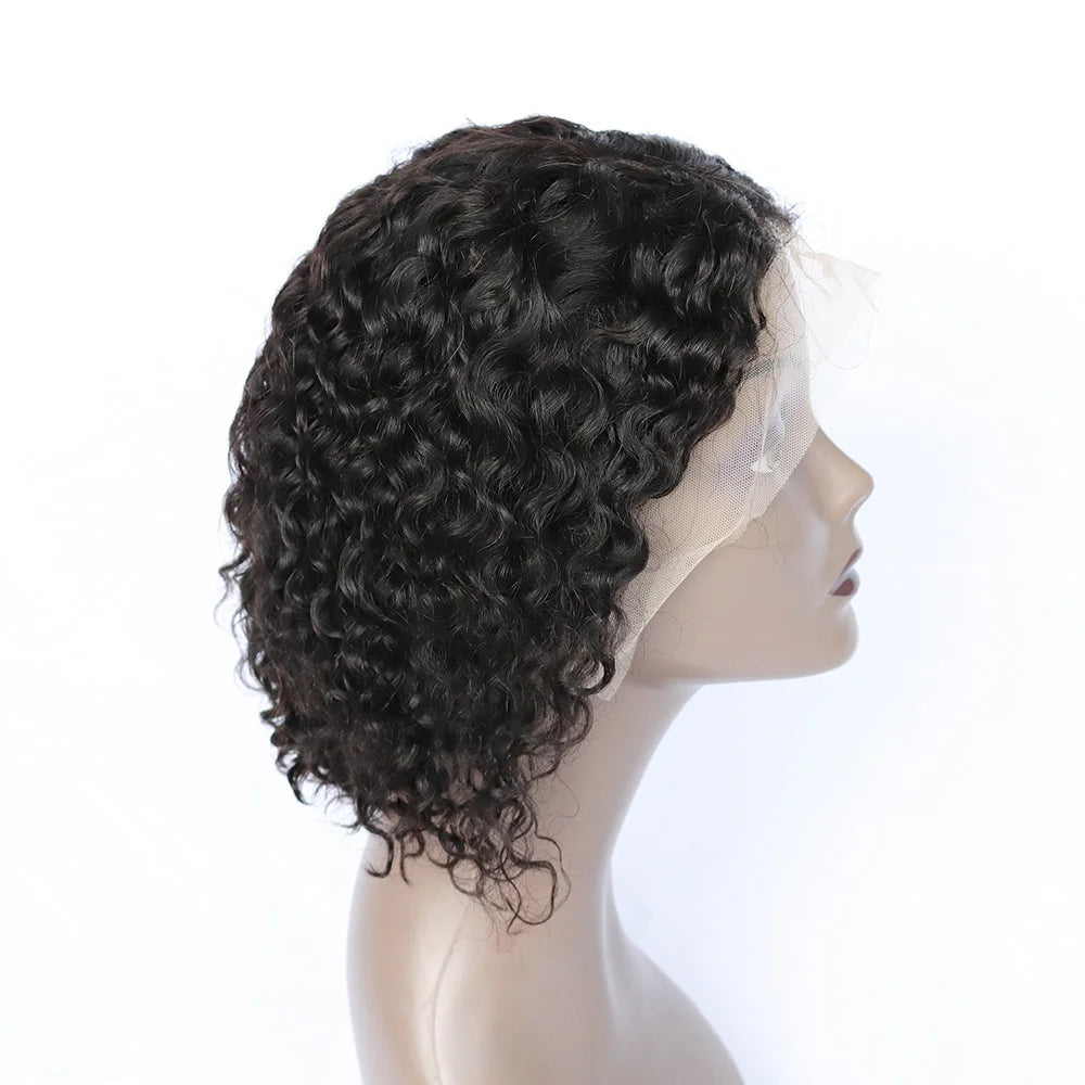Mona Hair Factory Wholesale 13x4 Transparent Lace Full Frontal Wigs 100% Natural Human Hair Wigs Original Vietnamese Raw Hair