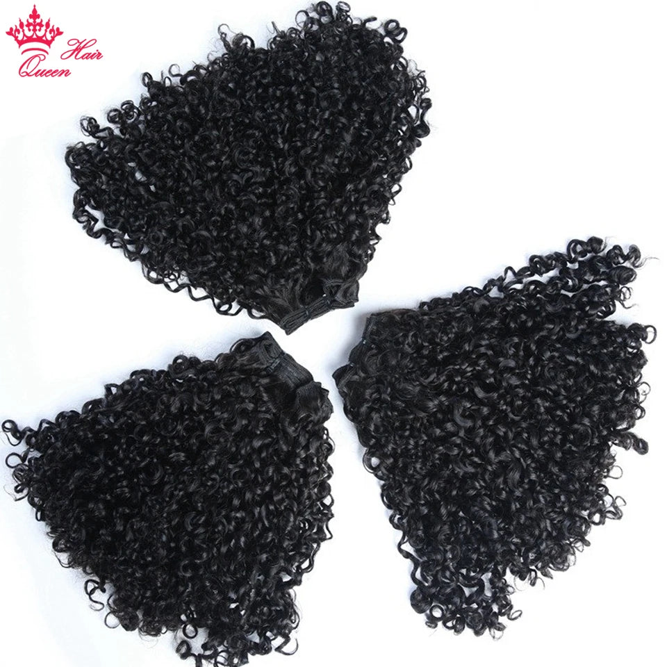 Double Drawn Pixie Curl Funmi Hair Hair Bundles Brazilian Bouncy Curly 100% Virgin Human Raw Hair Extensions Queen Hair Products