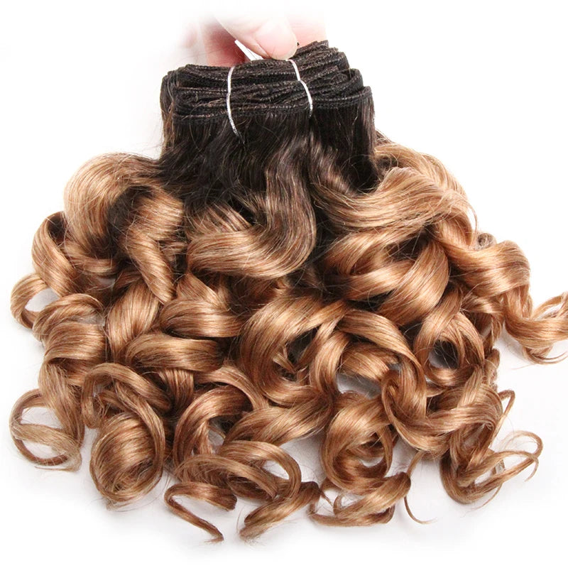 Curly Human Hair Bundles 100% Human Hair Bundles Brazilian Hair Weave Bundles 6 Pcs/Lot Color 1B/2/4/30/33/99J Curly Hair