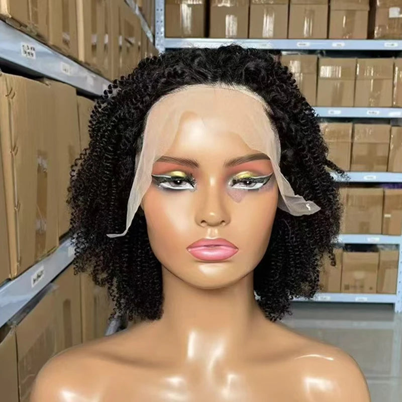 250% Density Afro Kinky Curly Short Curly Wigs 13x4 Lace Front 100% Human Hair For Black Women Brazilian Remy Hair Natural Color