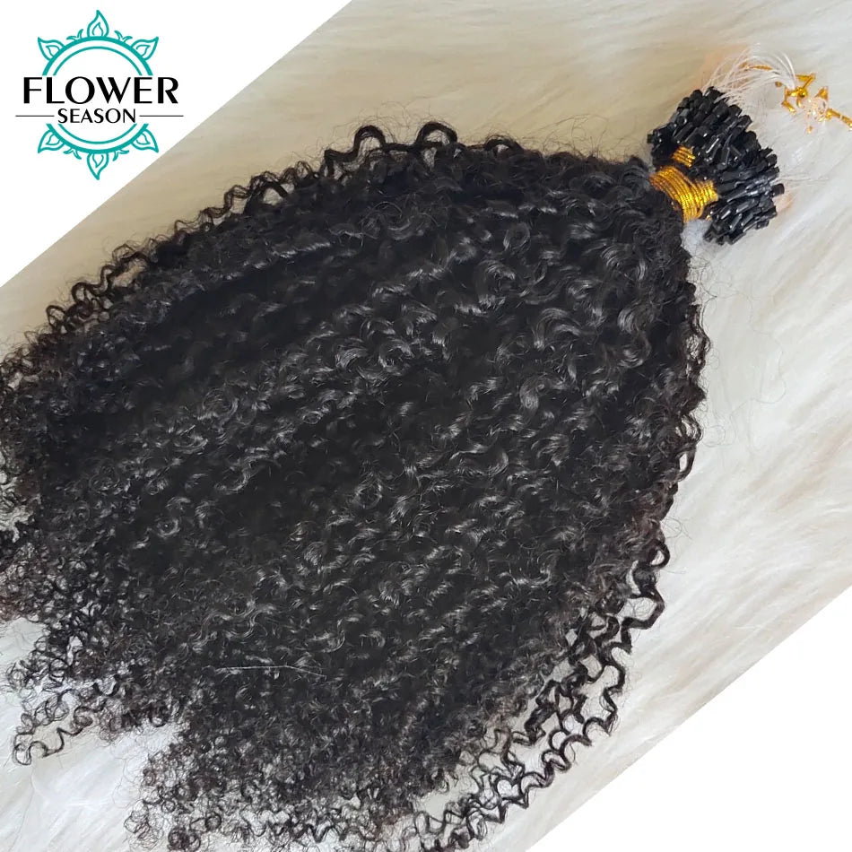 Micro Loop Ring Hair Extensions Afro Kinky Curly Human Hair Micro Ring Hair Full End 100strands/lot Natural Color for Women