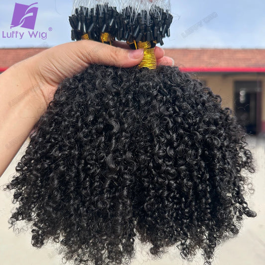 Afro Kinky Curly Micro Loop Extensions Full End Micro Loop Ring Human Hair Extensions Burmese Remy Microlinks Hair Extensions