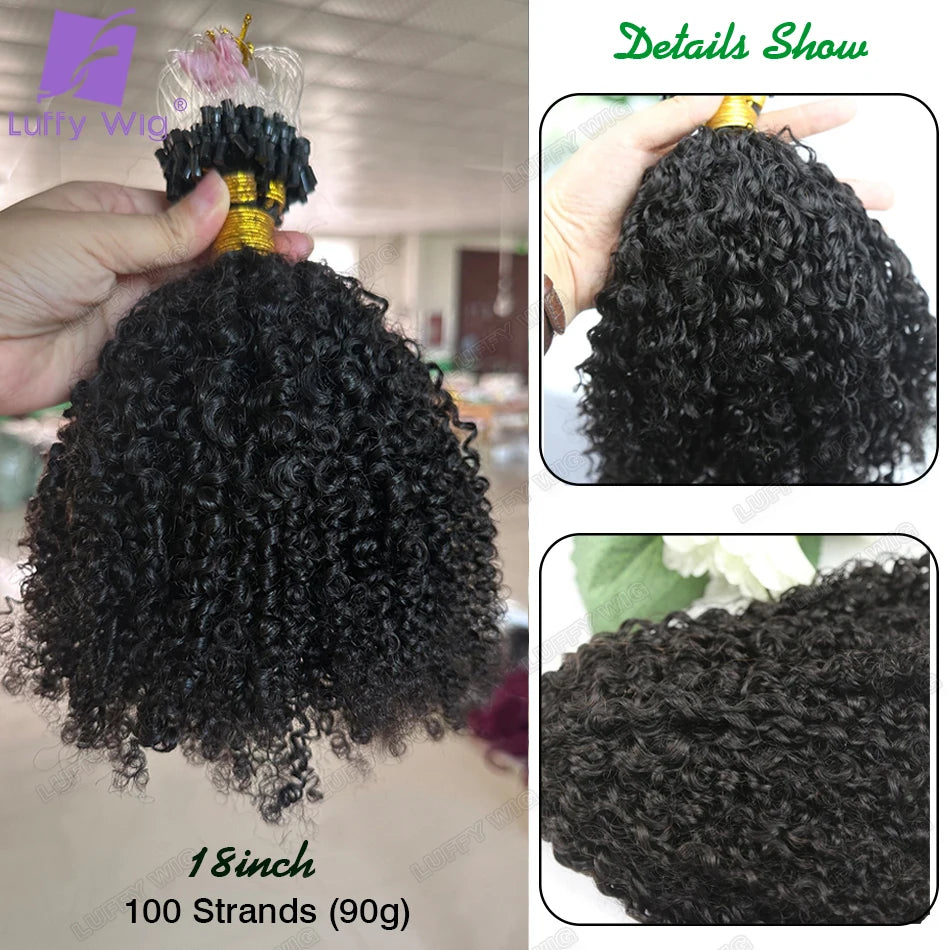 Afro Kinky Curly Micro Loop Extensions Full End Micro Loop Ring Human Hair Extensions Burmese Remy Microlinks Hair Extensions