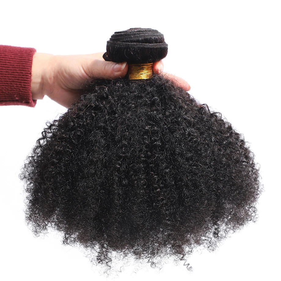 Bouncy Curly Human Hair Bundles With Closure 4x4 Closure Mongolian Afro Kinky Curly Human Hair Extensions With Closure Wholesale