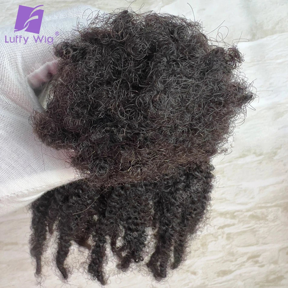 Afro Kinky Curly Locks Hair Extensions Burmese Remy Human Braiding Hair Bulk For Twist Braids Double Drawn Box Crochet No Weft