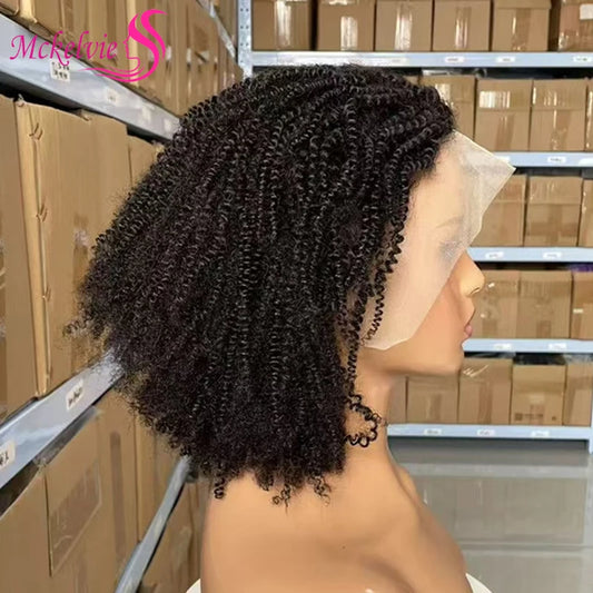 250% Density Afro Kinky Curly Short Curly Wigs 13x4 Lace Front 100% Human Hair For Black Women Brazilian Remy Hair Natural Color