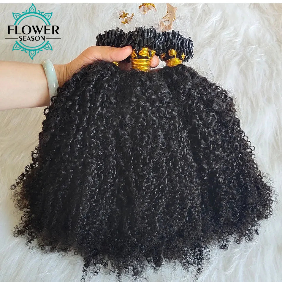 Micro Loop Ring Hair Extensions Afro Kinky Curly Human Hair Micro Ring Hair Full End 100strands/lot Natural Color for Women