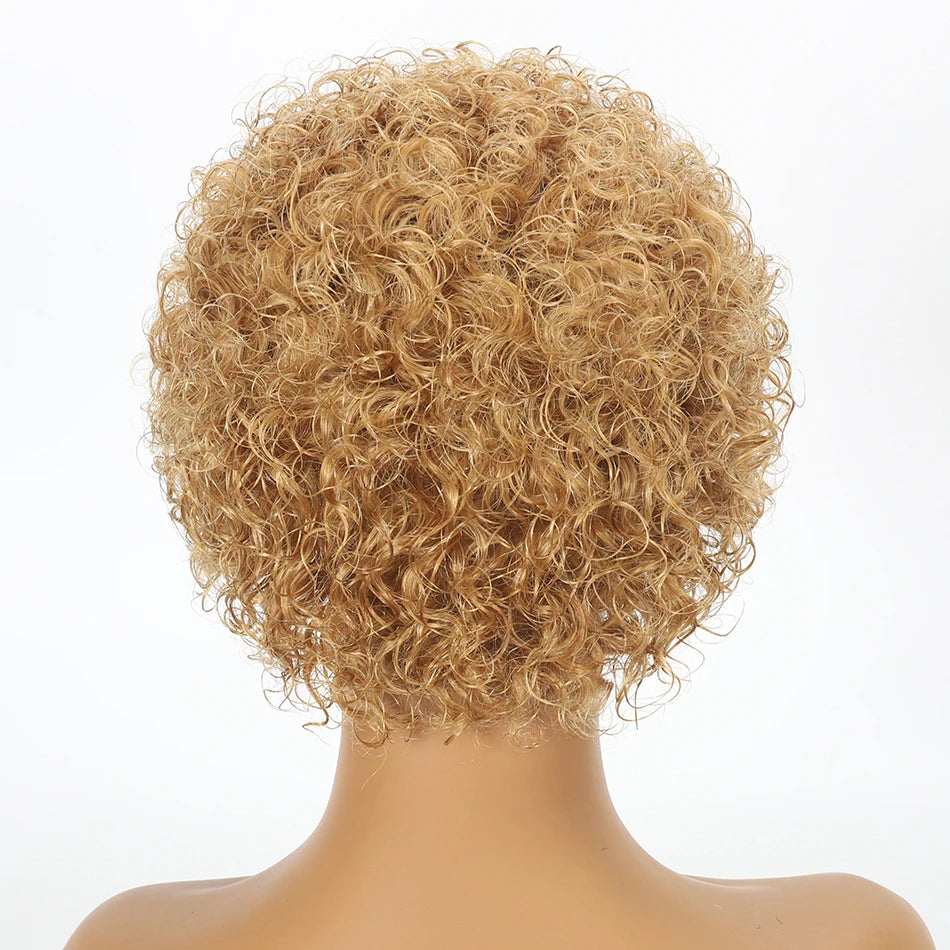 Pixie Cut Wig Kinky Curly Human Hair Wig Honey Blonde Burgundy Colored Short Curly Bob Wigs Pre plucked 13x1 Lace Frontal Wigs