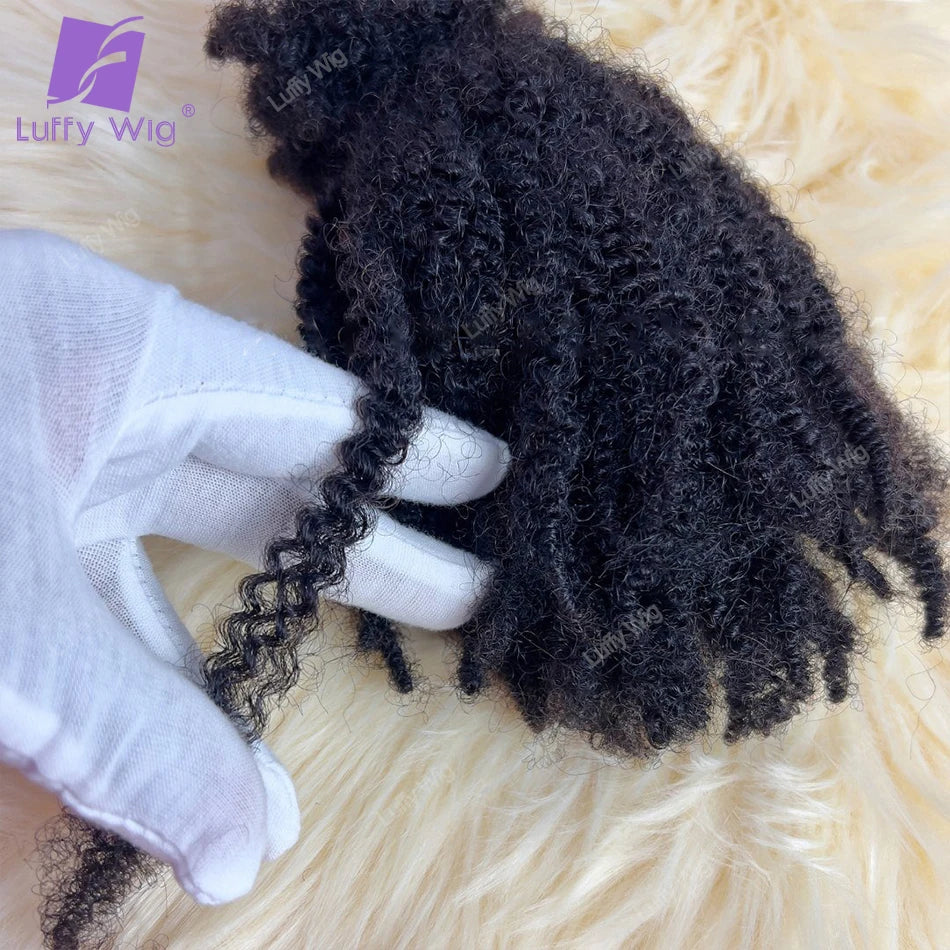 Afro Kinky Curly Locks Hair Extensions Burmese Remy Human Braiding Hair Bulk For Twist Braids Double Drawn Box Crochet No Weft