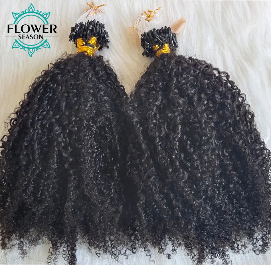 Micro Loop Ring Hair Extensions Afro Kinky Curly Human Hair Micro Ring Hair Full End 100strands/lot Natural Color for Women