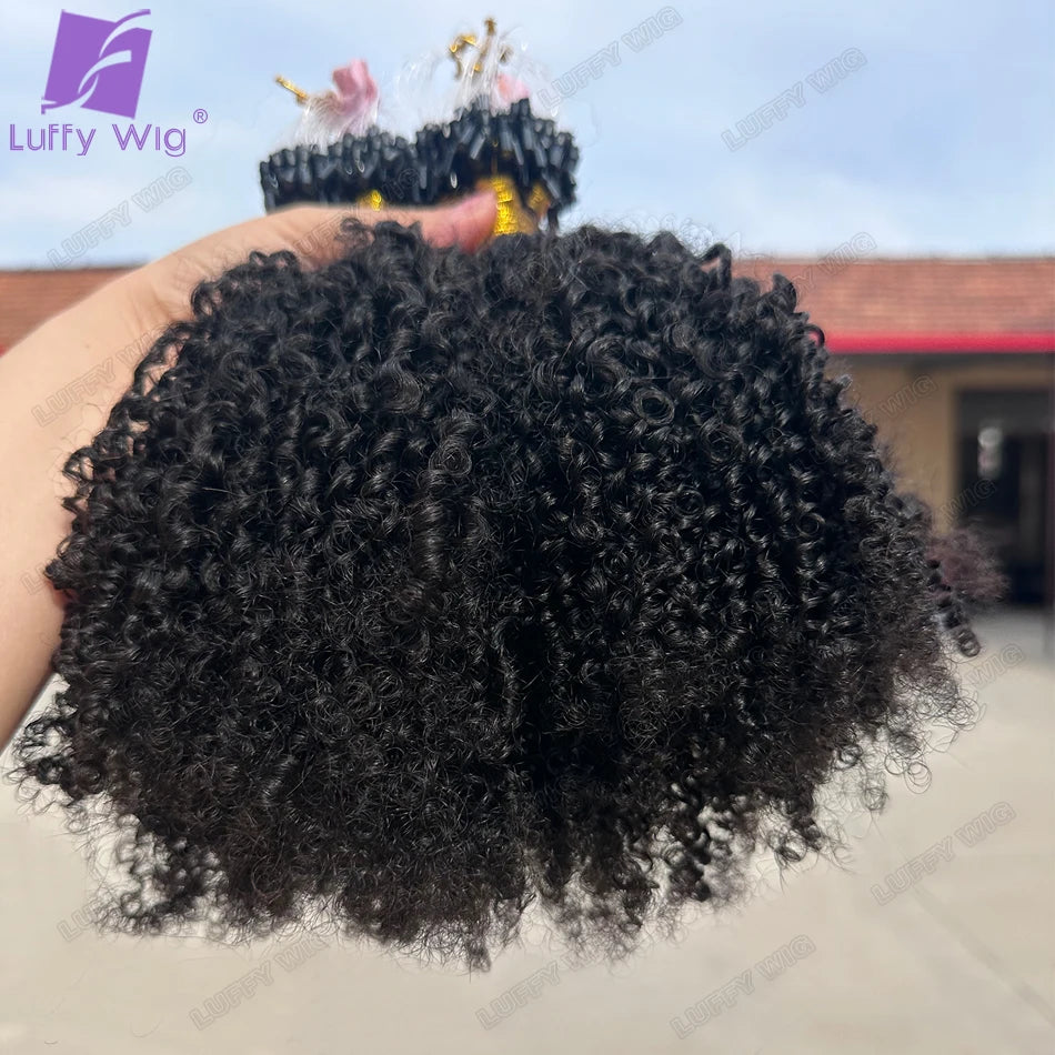 Afro Kinky Curly Micro Loop Extensions Full End Micro Loop Ring Human Hair Extensions Burmese Remy Microlinks Hair Extensions