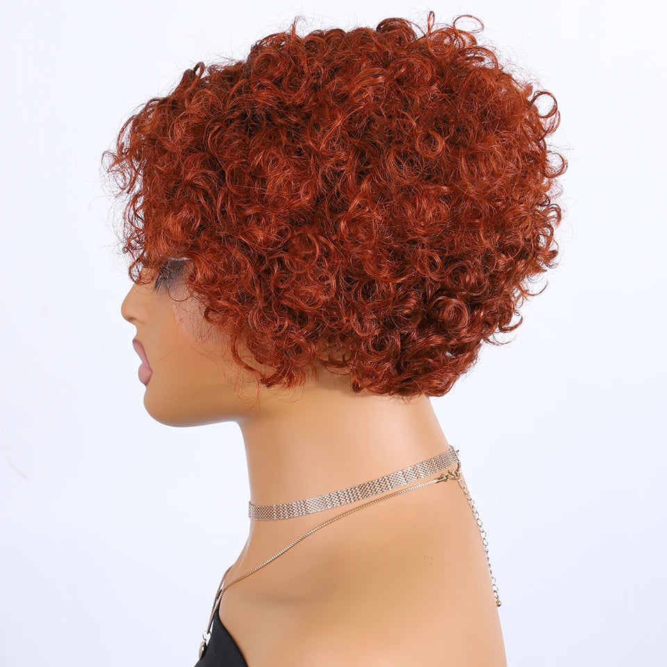 Black Pearl Pixie Wig Short Bob Wigs Curly Wigs Human Hair Wigs For Women 13x6x1 Lace Front Wigs Pelucas De Cabello 100 Humano