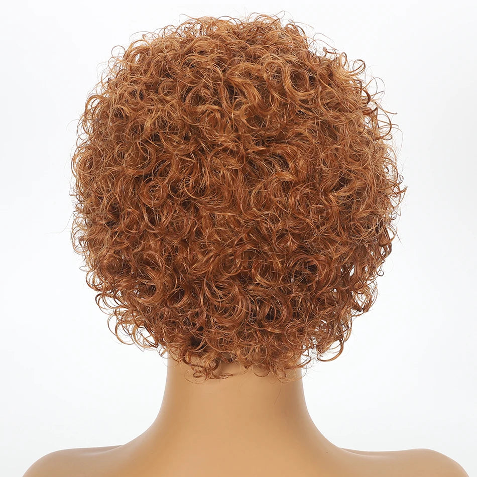 Pixie Cut Wigs 13x2 Lace Frontal Wigs Human Hair Short Kinky Curly Bob Human Hair Wigs For Women Lace Front Human Hair Wigs