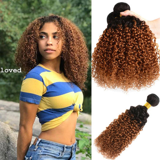 DreamDiana 10A Ombre Malaysian Hair T1B/30 10"-26" Remy Ombre Kinky Curly Hair 1/3/4 Bundles 100% Ombre Brown Human Hair Bundles