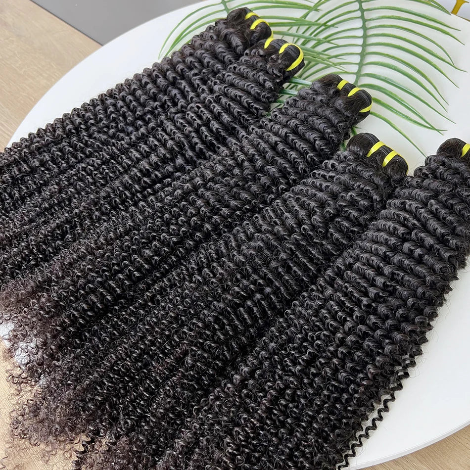 SWANEE Kinky Curly Human Hair Bundle 100% Natural Black Color Double Weft Vietnamese for Curly Bundles Human Hair Extensions