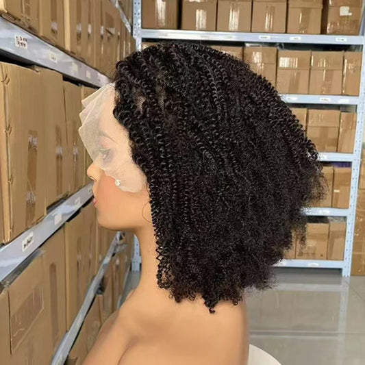 250% Density Afro Kinky Curly Short Curly Wigs 13x4 Lace Front 100% Human Hair For Black Women Brazilian Remy Hair Natural Color